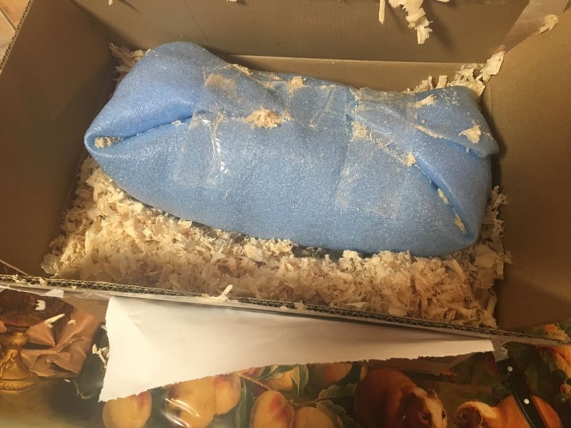 image - 0 Sa Înceapă Nebunia