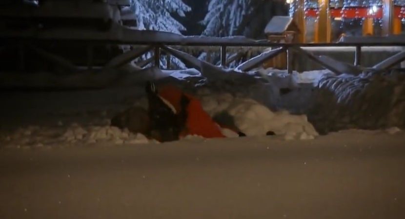  - 01 Ioana si Andrei - pmdm