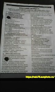 Prospect fata - Prospecte