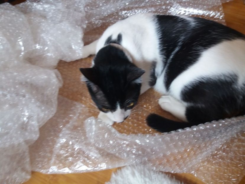  - Duracel martie 2018