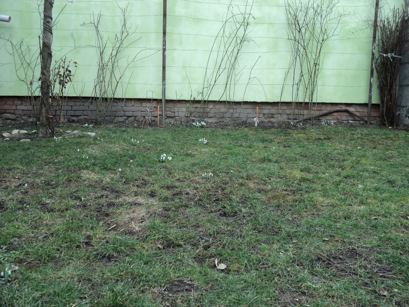 6 mart 2018 - Primavara