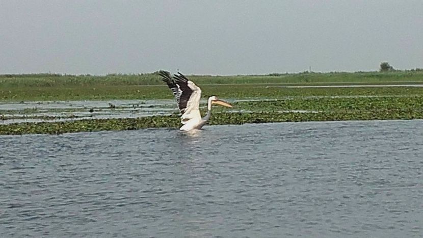 received_1391530207628354 - Ex1 Sulina