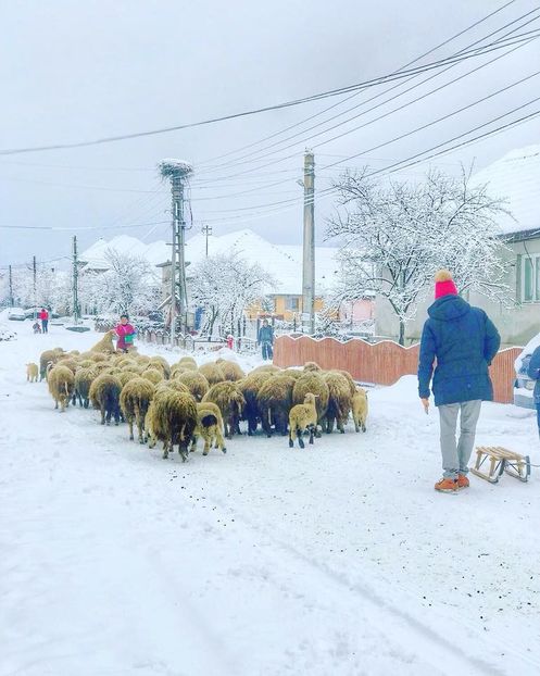 Eurovision 2018 - 2018 Eurovision Song Contest Part 1