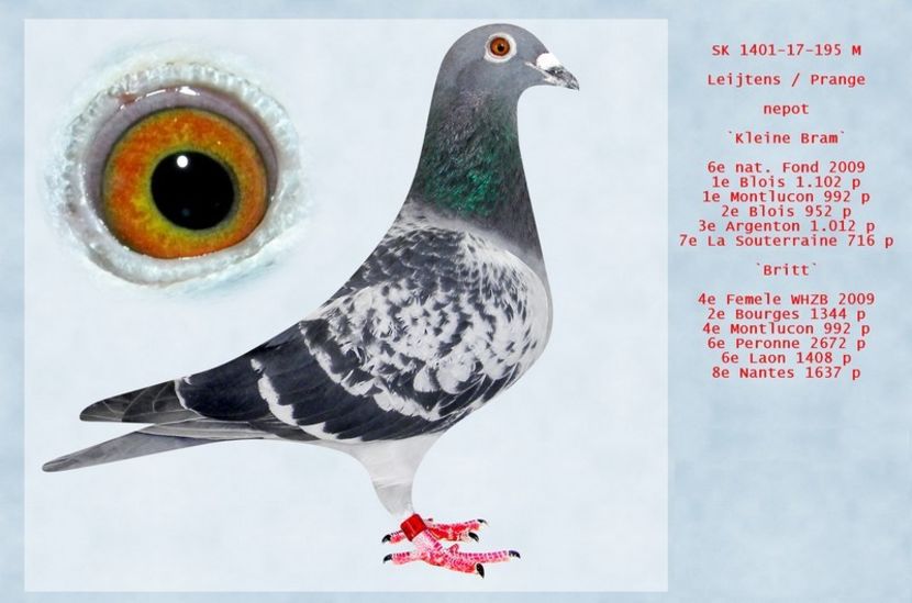  - Achizitii - 2018 - matca