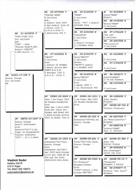 ped - Achizitii - 2018 - matca