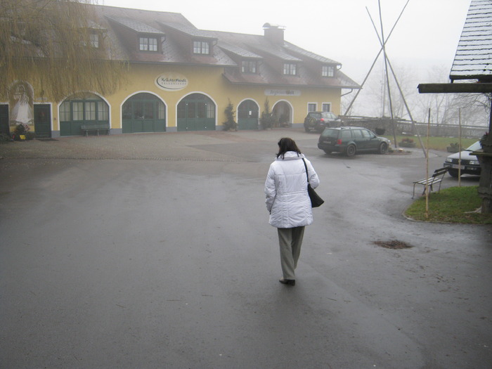 pensiunea Mandl-Sarleinsbach - Hotel-service cazare ieftina in Austria