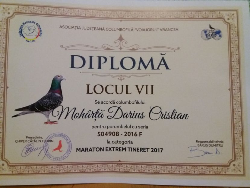 F.2016 .0504908 - Rezultat 2017