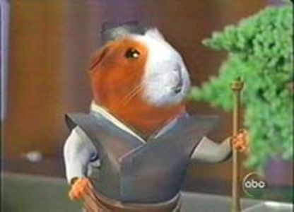  - 01 magie b 3 - pmdm