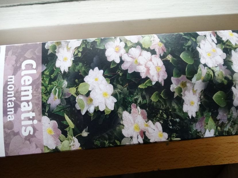  - c- achizitii primavara 2018