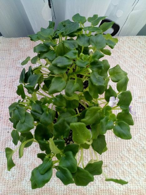 23 feb - Rob s Humpty Doo