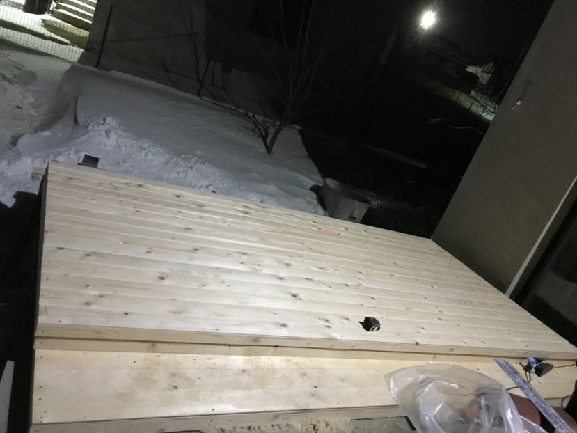 7BF3C485-D434-4FD2-A0AA-6E226951C545 - Cusca noua porumbei