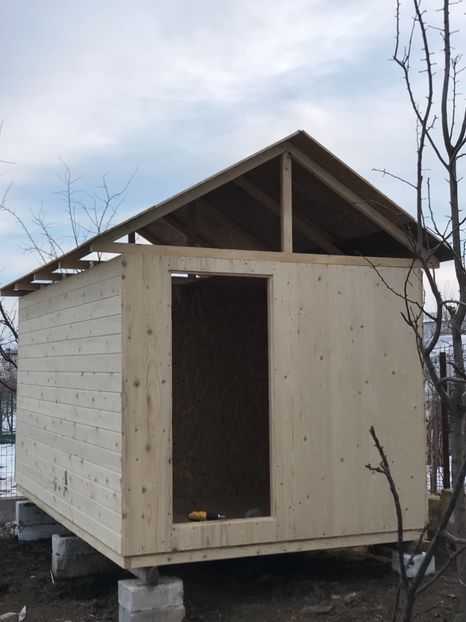 D9550DB8-FA99-4193-8C05-0EB451690F5A - Cusca noua porumbei