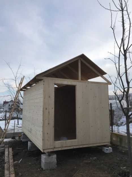 A56E5EEB-5132-4E75-BF15-3957C1474D9B - Cusca noua porumbei