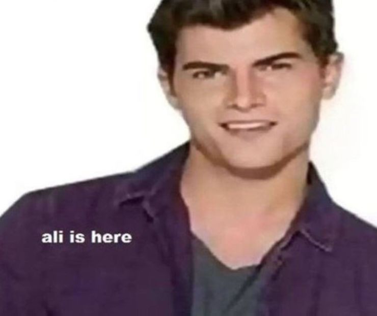  - 0 a album - violetta - PMDM