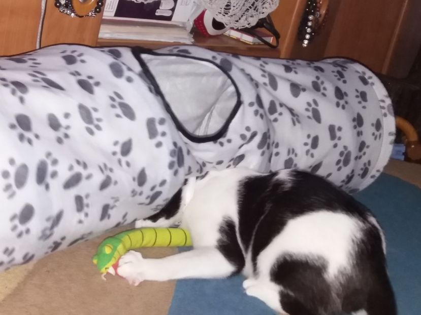  - Duracel martie 2018