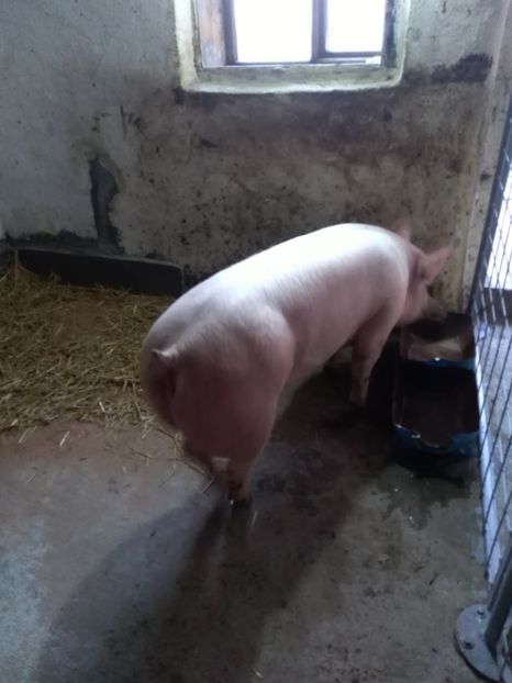  - Achiziție noua 06 03 2018