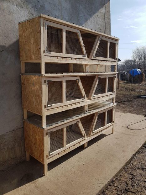 28870420_1727646427317281_5831172846038024192_o - CUSTI PENTRU IEPURI DE VANZARE