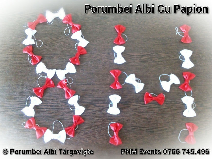 2018-03-08-12-18-19 - Papioane Porumbei - Porumbei Albi Târgoviște