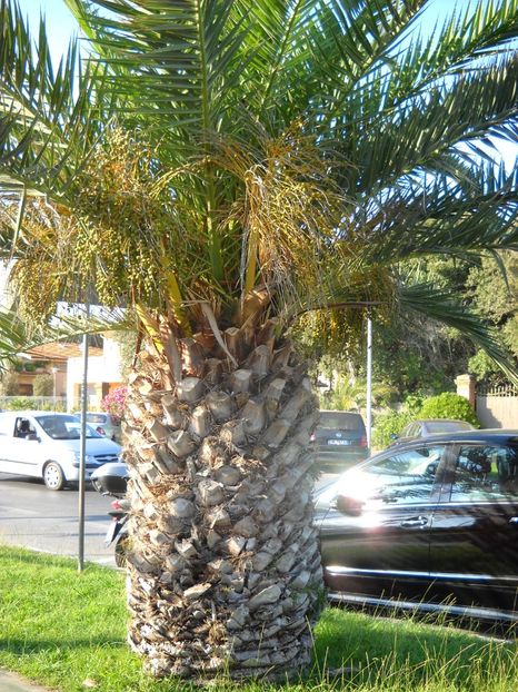  - 2009 VACANTA CINQEQ TERRE ITALIA