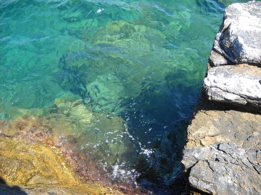  - 2009 VACANTA CINQEQ TERRE ITALIA