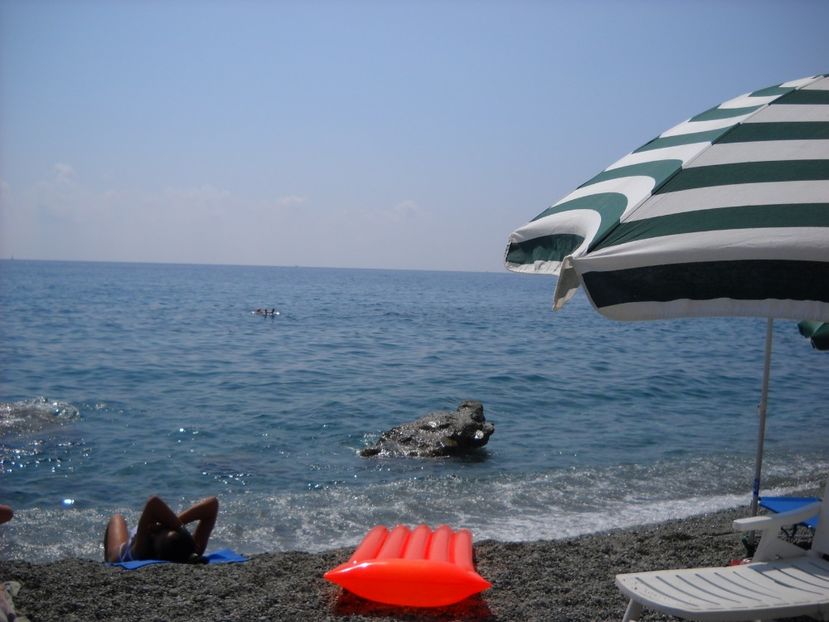  - 2009 VACANTA CINQEQ TERRE ITALIA