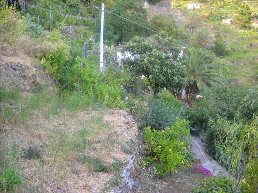  - 2009 VACANTA CINQEQ TERRE ITALIA
