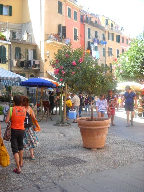  - 2009 VACANTA CINQEQ TERRE ITALIA