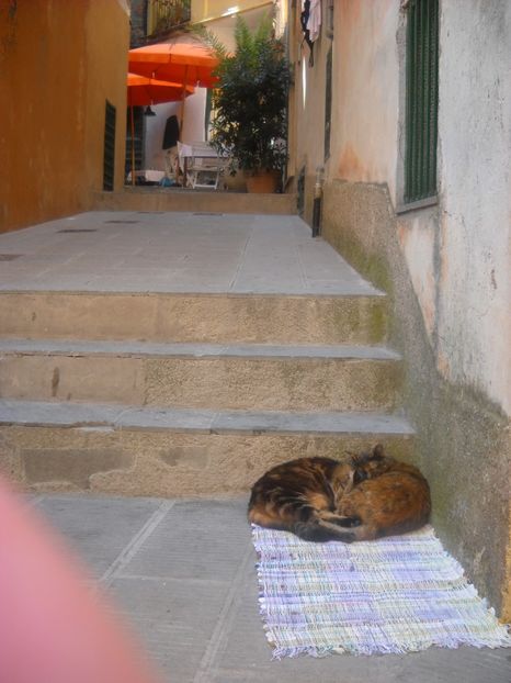  - 2009 VACANTA CINQEQ TERRE ITALIA