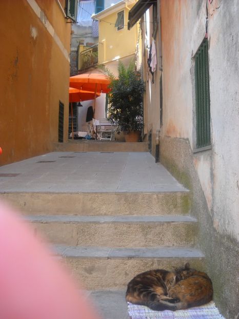  - 2009 VACANTA CINQEQ TERRE ITALIA