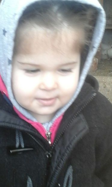 IMG-20180311-WA0006 - Cel mai mic Columbofil