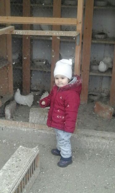 IMG-20180311-WA0004 - Cel mai mic Columbofil