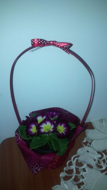  - Flori de PRIMAVARA-VARA -2018