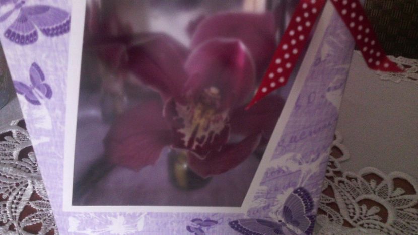  - Flori de PRIMAVARA-VARA -2018