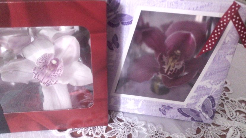  - Flori de PRIMAVARA-VARA -2018