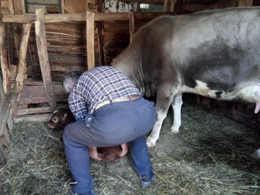 Bunicul la 84 de ani - 6 - Diverse