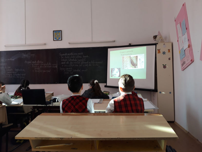  - lectii demonstrative