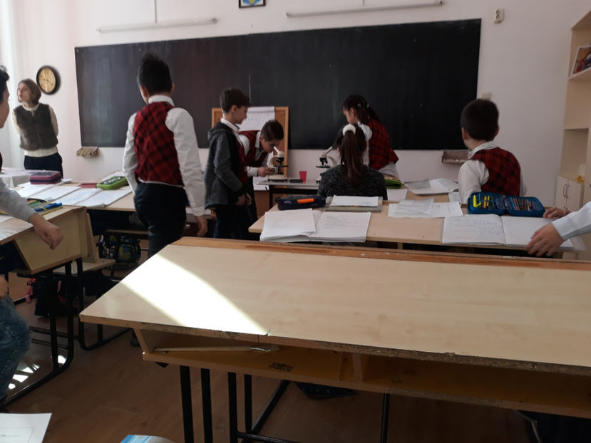  - lectii demonstrative