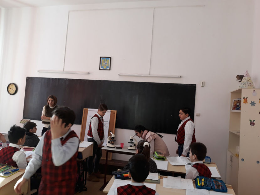  - lectii demonstrative