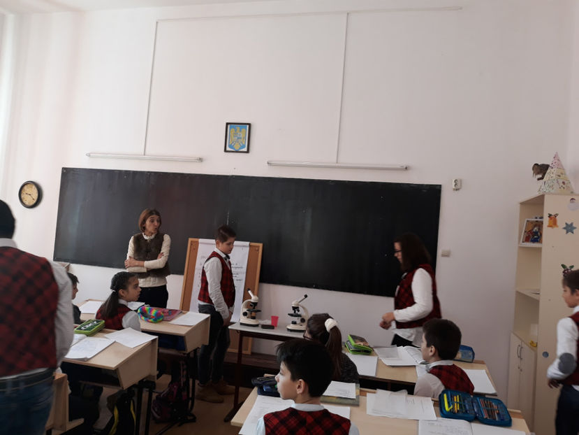  - lectii demonstrative