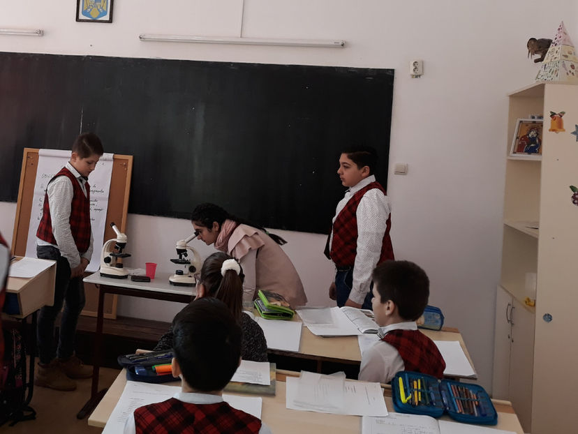  - lectii demonstrative