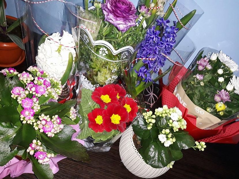  - 2018 - Florile mele