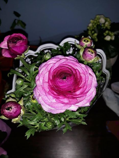  - 2018 - Florile mele