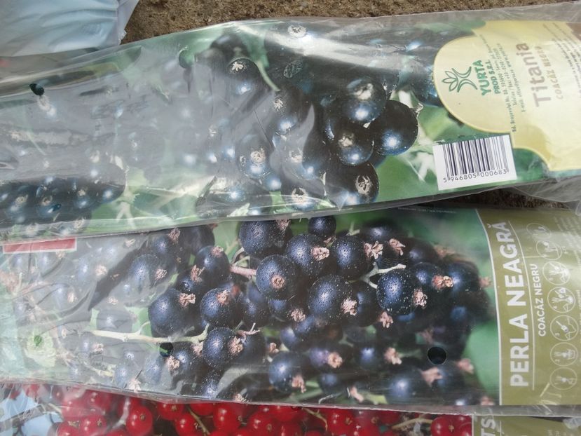  - c- achizitii primavara 2018