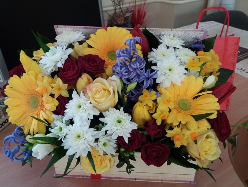 8 martie - 2018 plantele mele