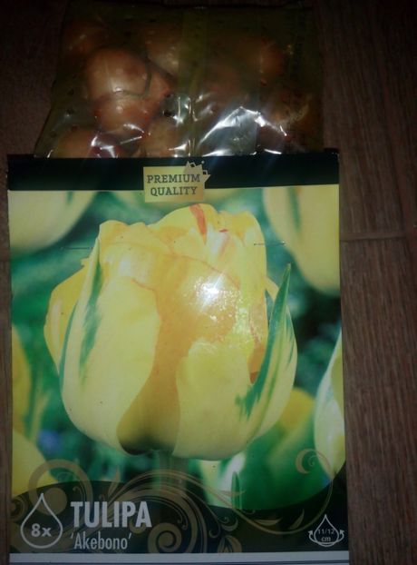 11.09 - Achizitii 2017