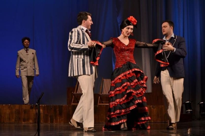  - 2018 SEARA DE OPERA 11 martie