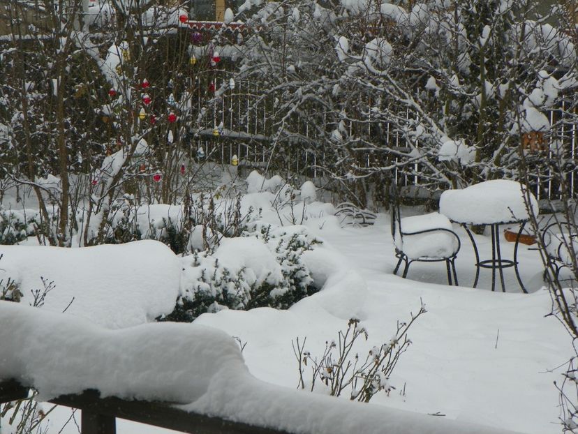 ian 2018 - Iarna in gradina