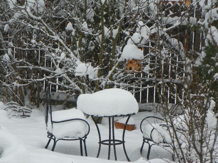ian (3) - Iarna in gradina