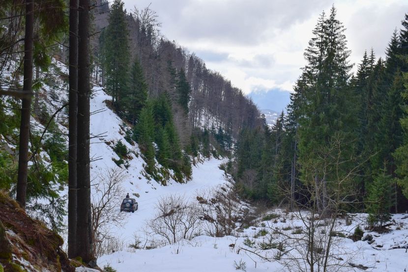  - Iarna 2018