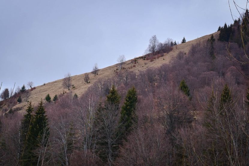  - Iarna 2018